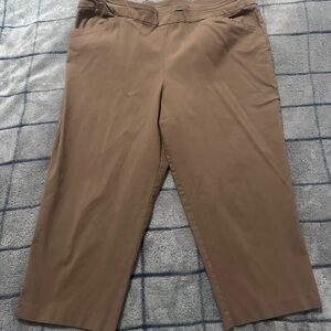 Time and Tru Women's Brown Capris